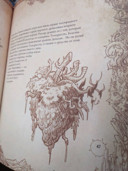 Шон Коупленд: World of WarCraft. Энциклопедия Азерота. Калимдор