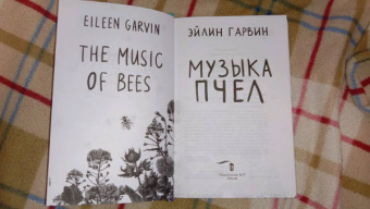 Эйлин Гарвин: Музыка пчел