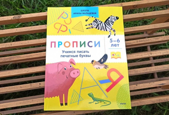 Ирина Мальцева: Прописи. Учимся писать печатные буквы. 5-6 лет