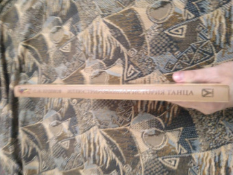 Сергей Худеков: Иллюстрированная история танца