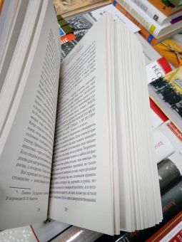 Павел Строганов: 17 практик стоицизма. Как укротить жизненный хаос по-философски