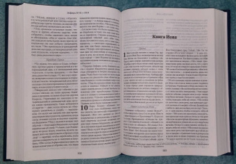 Библия. Книги Священного Писания Ветхого и Нового Завета в современном русском переводе