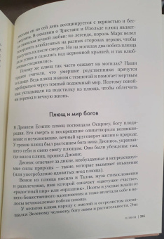 Урсула Штумпф: Травы. Природный источник жизненной силы