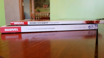 Том Тейлор: Совершенный Железный Человек. Полное издание