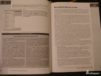Крис Гровер: Flash CS5. Практическое руководство +DVD