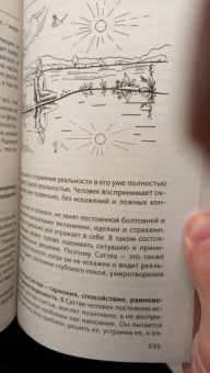 Рами Блект: Три энергии. Забытые каноны здоровья и гармонии