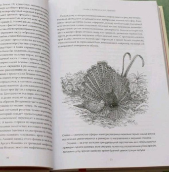 Ричард Прам: Эволюция красоты. Как дарвиновская теория полового отбора объясняет животный мир — и нас самих