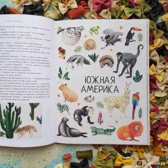 Волшебная кругосветка. 50 историй про животных