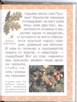 Инна Гамазкова: Гнезда, норки, домики