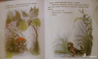 Владимир Сутеев: Загадочные истории