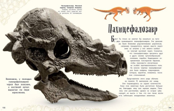 Анусия Чинсами-Тюран: Динозавры и другие доисторические животные. Энциклопедия