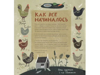 Лена Шёберг: Крутые факты о яйцах