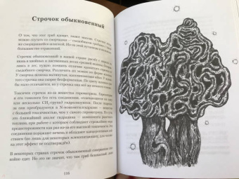 Сакина Зейналова: Яды. Вокруг и внутри. Путеводитель по самым опасным веществам на планете