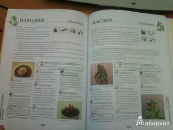 Иллюстрированная энциклопедия комнатных растений