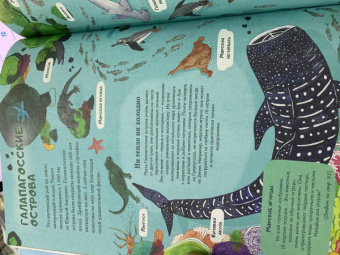 Амандин Тома: Через океаны