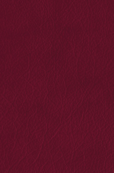 Федор Достоевский: Братья Карамазовы