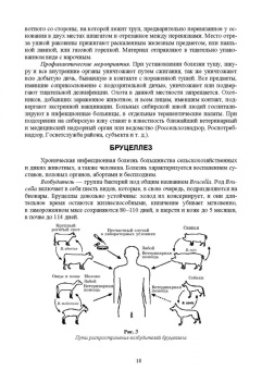 Третьяков, Черных, Кирильцов: Болезни охотничье-промысловых зверей и птиц