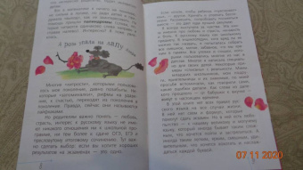 Маша Трауб: Русский язык с Машей Трауб