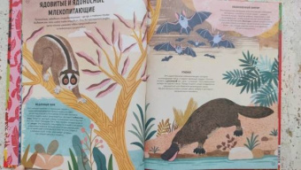 Ико Ромеро: Ядовитые животные. Кто, зачем и как использует яды в дикой природе