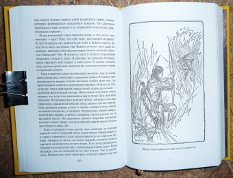 Джеймс Шульц: Страшная пещера. Бегущий Орёл. Девушка-воин