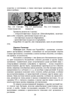Брынцев, Коровин, Романовский: Введение в общую биологию. Теоретические вопросы и проблемы. Учебное пособие