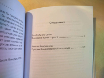 Луи-Фердинанд Селин: Интервью с профессором Y