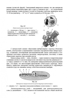 Зеленевский, Зеленевский, Щипакин: Анатомия и физиология сельскохозяйственных животных. Учебник для СПО