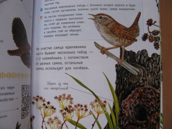Коблик, Архипов: Певчие птицы. Средняя полоса европейской части России. Определитель с голосами птиц