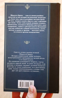 Шарлотта Бронте: Учитель