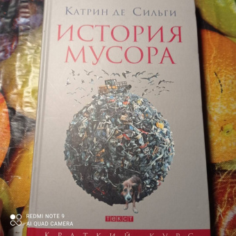 Катрин Сильги: История мусора. От Средних веков до наших дней