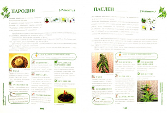 Иллюстрированная энциклопедия комнатных растений