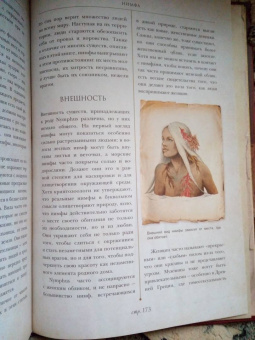Вероника Вигберт-Блэкуотер: Энциклопедия магических чудищ. Анатомическое исследование наиболее неуловимых существ криптозоологии