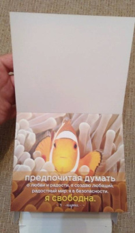 Луиза Хей: Я все могу! 365 установок, которые изменят вашу жизнь к лучшему