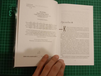 Роберт Сальваторе: Маэстро