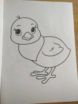 Раскраска "Для самых маленьких"