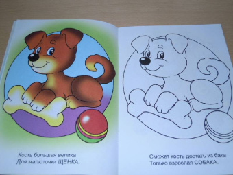 Юрий Чичев: Взрослые детки