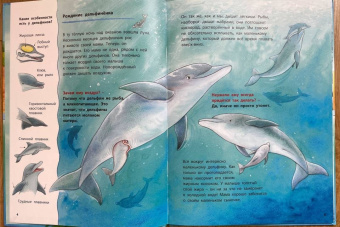 Фридерун Райхенштеттер: Дельфинчик и его морские соседи. Познавательные истории