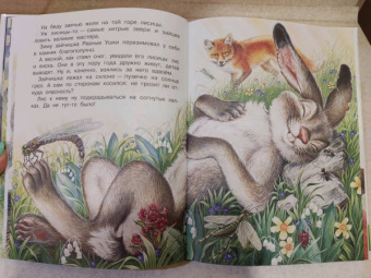 Николай Сладков: Бюро лесных услуг