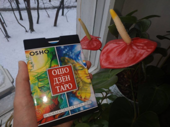 Ошо Багван Шри Раджниш: Игра жизни. Таро в духе дзен + Ошо Дзен Таро (комплект) (2643)