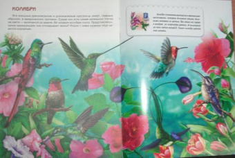 О. Александрова: Птицы. Книжки для любознательных