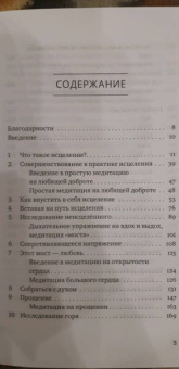 Стивен Левин: Исцеление в жизни и смерти