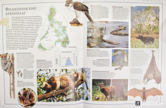 Бамбарадения, Вудрафф, Гинзберг: Животный мир. Иллюстрированный атлас