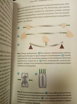Флориан Бриан: Огурец на электрическом стуле. Опыты, заряжающие мозг
