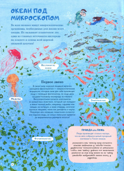 Амандин Тома: Через океаны