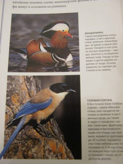 Бамбарадения, Вудрафф, Гинзберг: Животный мир. Иллюстрированный атлас