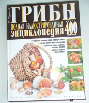 Иван Куреннов: Грибы. Полная иллюстрированная энциклопедия