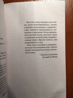 Ирвин Шоу: Две недели в другом городе