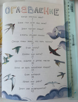 Петр Волцит: Куда летят перелётные птицы?