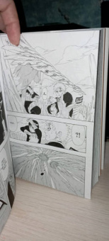 Масаси Кисимото: Naruto. Наруто. Книга 8. Перерождение