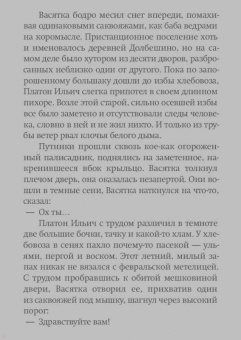 Владимир Сорокин: Метель